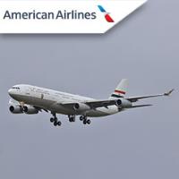 American Airlines image 2